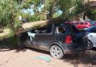 Pehuen Co: Una rama cayó sobre una camioneta y le causó daños totales, no hubo heridos que lamentar