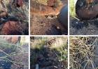La ONG HAPIC realizó un hallazgo de pasivo ambiental en la zona costera de Puerto Rosales