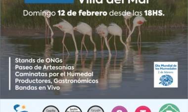 Este domingo Villa del Mar se prepara para vivir la 14º edición de la Fiesta de los Humedales