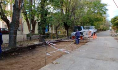 El Municipio de Coronel Rosales realiza reparaciones de hormigón en calle Dorrego al 200 