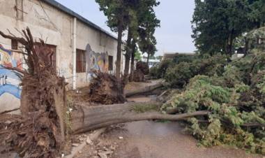 Coronel Rosales: 48 horas de asueto y algunas restricciones tras el temporal