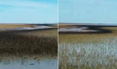 "La empresa falló en la comunicación tras el derrame de petróleo", dijo Aristimuño