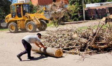 Se realizaron trabajos de limpieza en Zona Norte