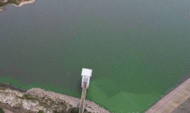 Una diputada pide que usuarios de Bahía Blanca no paguen por seis meses la tarifa de ABSA, no incluye a Punta Alta