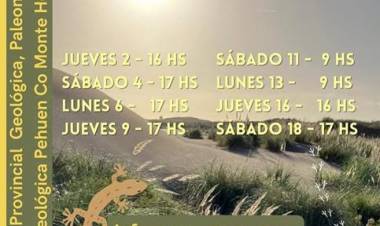 Se realizan visitas guiadas a la Reserva Pehuen Co - Monte Hermoso