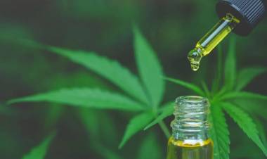 El Gobierno anunció que dará de baja 300 mil permisos del REPROCANN