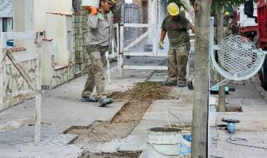 ¿Qué pasa con la obra abandonada de recambio de cañerías y reparación de veredas en Punta Alta?