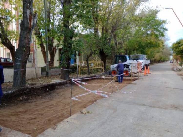 El Municipio de Coronel Rosales realiza reparaciones de hormigón en calle Dorrego al 200 