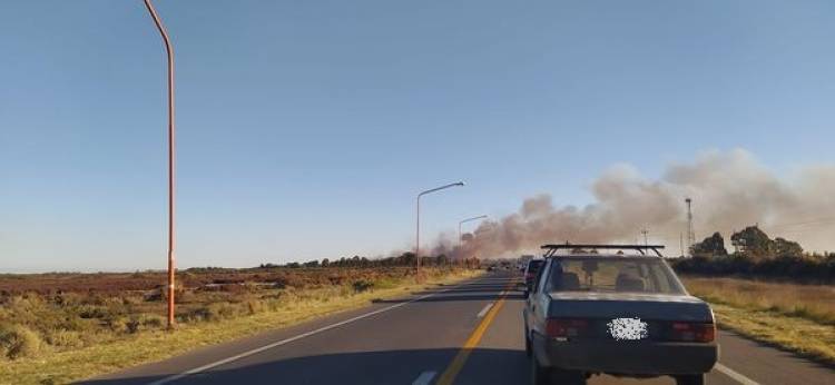 Gran incendio forestal generó el corte por unas horas de la ruta 229