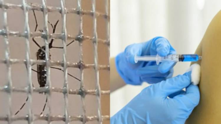 Pereyra: "Siempre es positivo fortalecer las medidas de prevención"