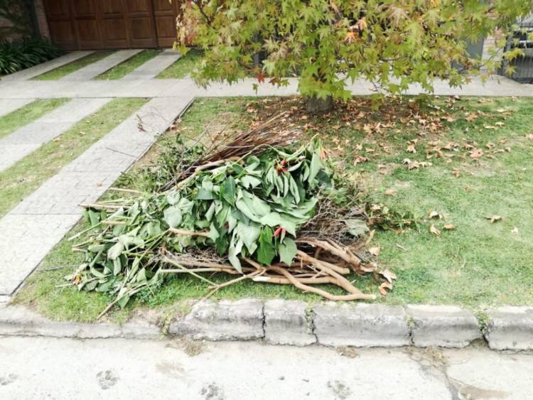 Medina: “Cuando haya más de un metro cúbico de residuos, se multará a los vecinos”