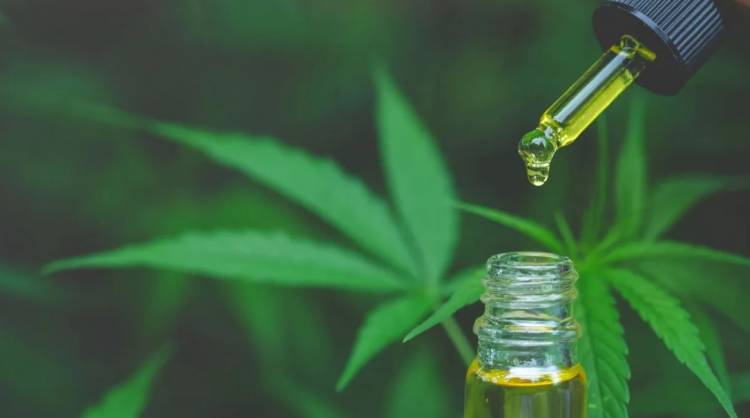 El Gobierno anunció que dará de baja 300 mil permisos del REPROCANN