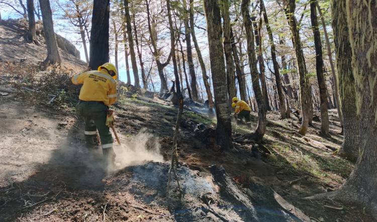 Brigadistas forestales de la Armada Argentina combaten los incendios en El Bolsón