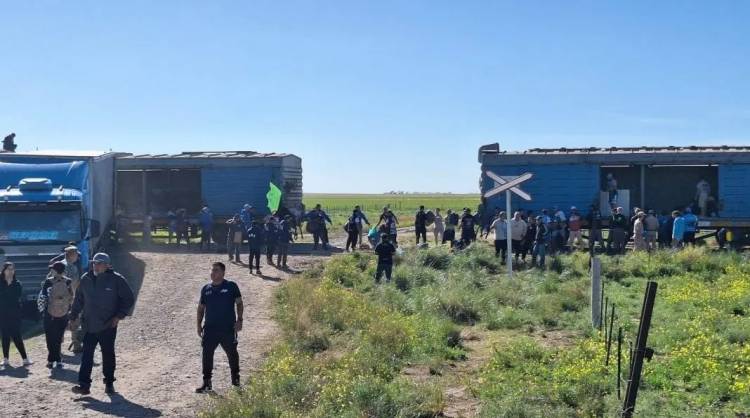 El Tren Solidario llegó nuevamente a Bahía Blanca con más de dos toneladas de donaciones