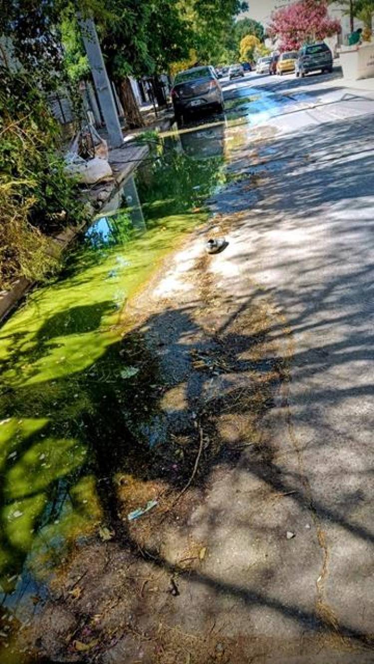 El Municipio emitió un comunicado sobre los desbordes cloacales de Murature al 700