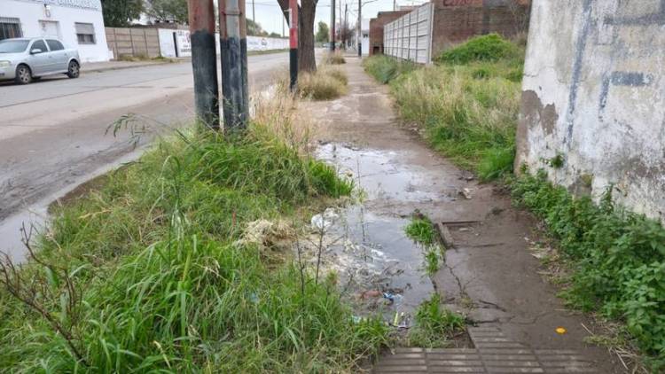 Denuncian pérdidas de agua potable desde hace meses