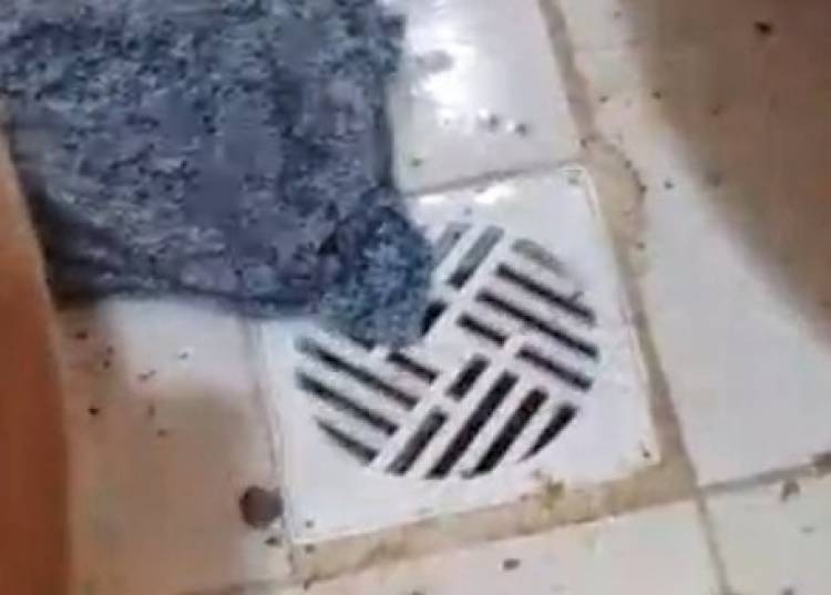 “Ya no se puede vivir así, nos desborda la materia fecal por todos lados” afirmó una vecina de Jujuy al 400