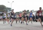 Se realizará la VII Media Maratón de la Infantería de Marina