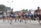 Este domingo se realizará la VII Edición de la Media Maratón de la Infantería de Marina