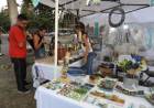 El parque San Martín recibió a una gran cantidad de emprendedores locales que ofrecieron sus productos 
