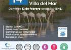 Este domingo Villa del Mar se prepara para vivir la 14º edición de la Fiesta de los Humedales
