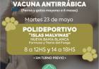 El martes 23 de mayo se llevará a cabo una nueva campaña de vacunación antirrábica  