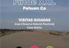El Municipio invita a las actividades que habrá durante el finde patrio XXL en Pehuen Co 