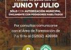 Cómo se realiza la poda con los permisos correspondientes por parte del Municipio