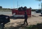 Volcó un carro que transportaba terneros en la ruta 229
