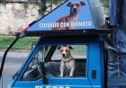 Se negó a hacer un flete a Pago Chico porque no lo dejan entrar con su perro