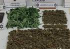 Se realizó un allanamiento y secuestro de drogas en una vivienda de nuestra ciudad