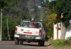 Este es el cronograma de fumigación para esta semana en Coronel Rosales