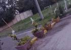 El Municipio retirará las macetas y adoquines que cortaban el tránsito en Avellaneda y 9 de julio