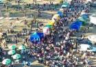 Este domingo se realizará la Feria del Puerto