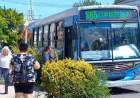 Bajó hasta un 43 por ciento la cantidad de pasajeros en Punta Alta con respecto al 2023