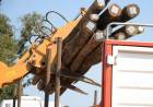 Vecinos aseguran que colocan postes de palmera pese a prohibición