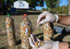 Se realizará una jornada de recolección de colillas de cigarrillos en el Parque San Martín