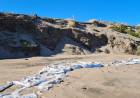 Dr. Perillo: “Con el murallón de piedras, la playa se va a erosionar mucho más rápido en Pehuen Co”