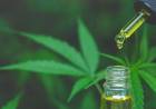 El Gobierno anunció que dará de baja 300 mil permisos del REPROCANN