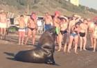Buscan prohibir el acercamiento humano a animales marinos en playas bonaerenses