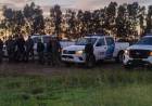 Se realizaron allanamientos en la región por casos de abigeato en Coronel Rosales