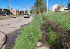 Solicitan urgente saneamiento en la avenida Jujuy, cerca de un jardín