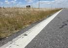 Estado de las banquinas y deterioro del asfalto en las rutas del distrito rosaleño