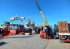 La planta de Conarpesa en Puerto Rosales tuvo su primera carga de langostino