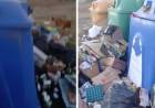 Reclaman al Municipio que un basural clandestino en Punto Limpio “es un juntadero de lauchas”