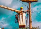 Este jueves habrá un corte de energía eléctrica en un amplio sector de la Zona Sur