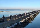 Se realizó el Torneo de Pesca “Día de la Armada Argentina”