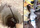 Bomberos Voluntarios de Pehuen Co rescataron a un perro que había caído a un pozo