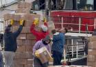 Fuerte movimiento exportador en Puerto Rosales, descargaron más de 200 toneladas de langostinos