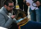 Reconocieron al perro Bart y al personal de la Armada que brindó ayuda en Venezuela